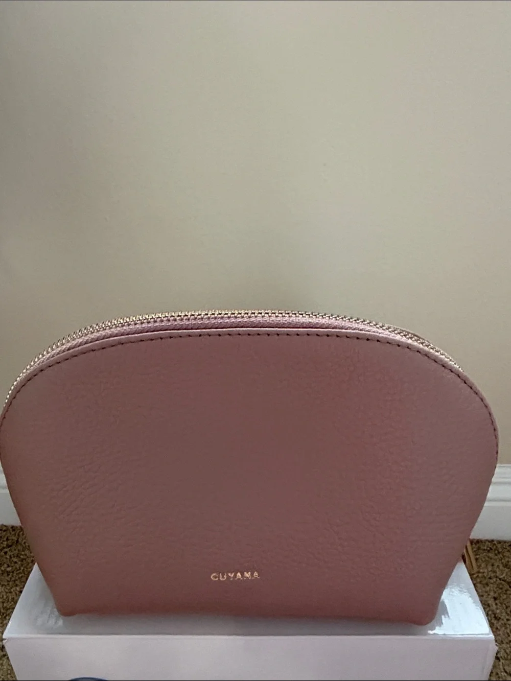 Cuyana Dusty Rose Leather Cosmetic Pouch with Gold Zipper